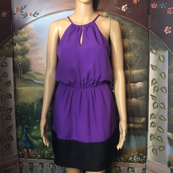 NWOT Express Purple Color block High Neck Dress-XS - Picture 1 of 6